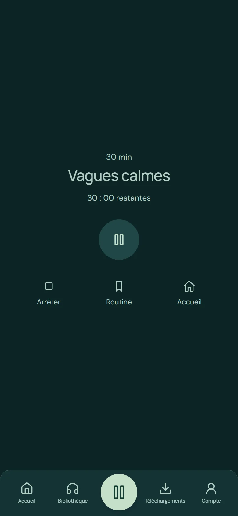 Vraie capture du lecteur Relaxation V2 : Vagues calmes, minuterie et pause
